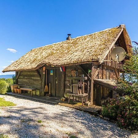 Vineyard Cottage Skatlar Otocec Exterior photo